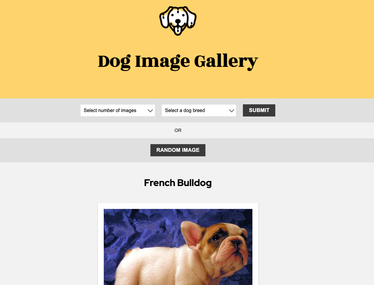 Dog Gallery